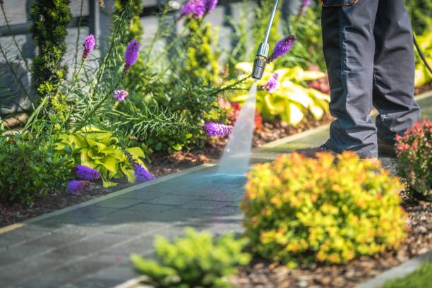 Professional Pressure Washing Services in Stone Park, IL
