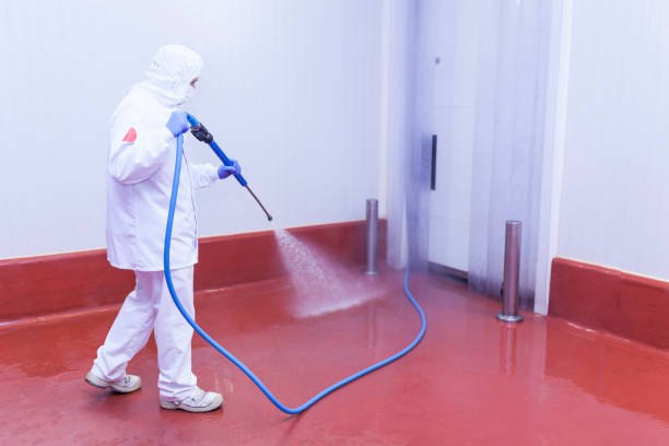 Best Window and Screen Pressure Cleaning in Stone Park, IL