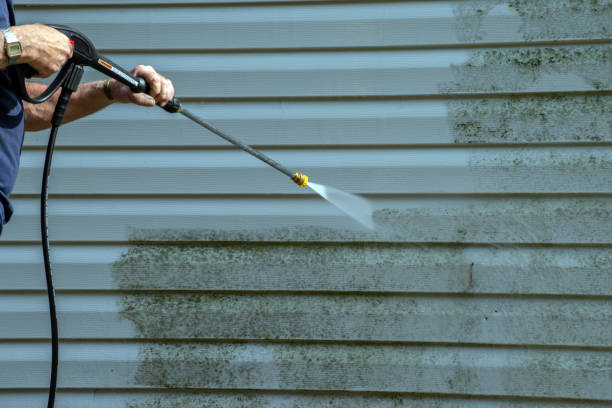 Best Vinyl Siding Pressure Washing in Stone Park, IL